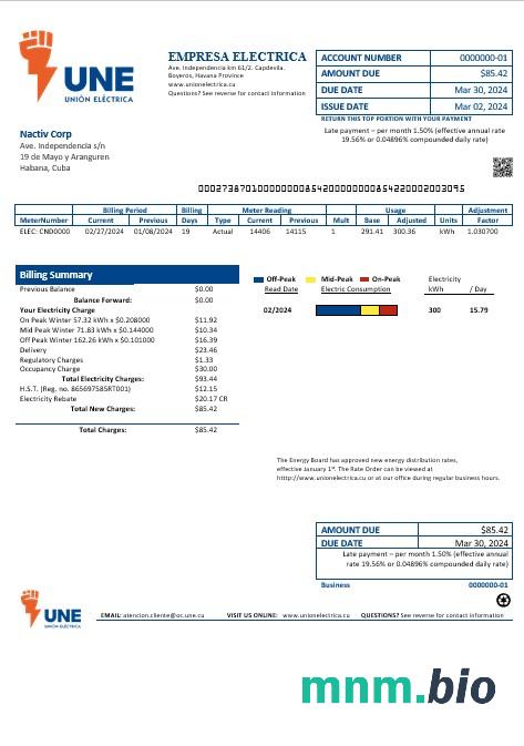 Szablon rachunku za media biznesowe Cuba Empresa Electrica w formatach Word i pdf